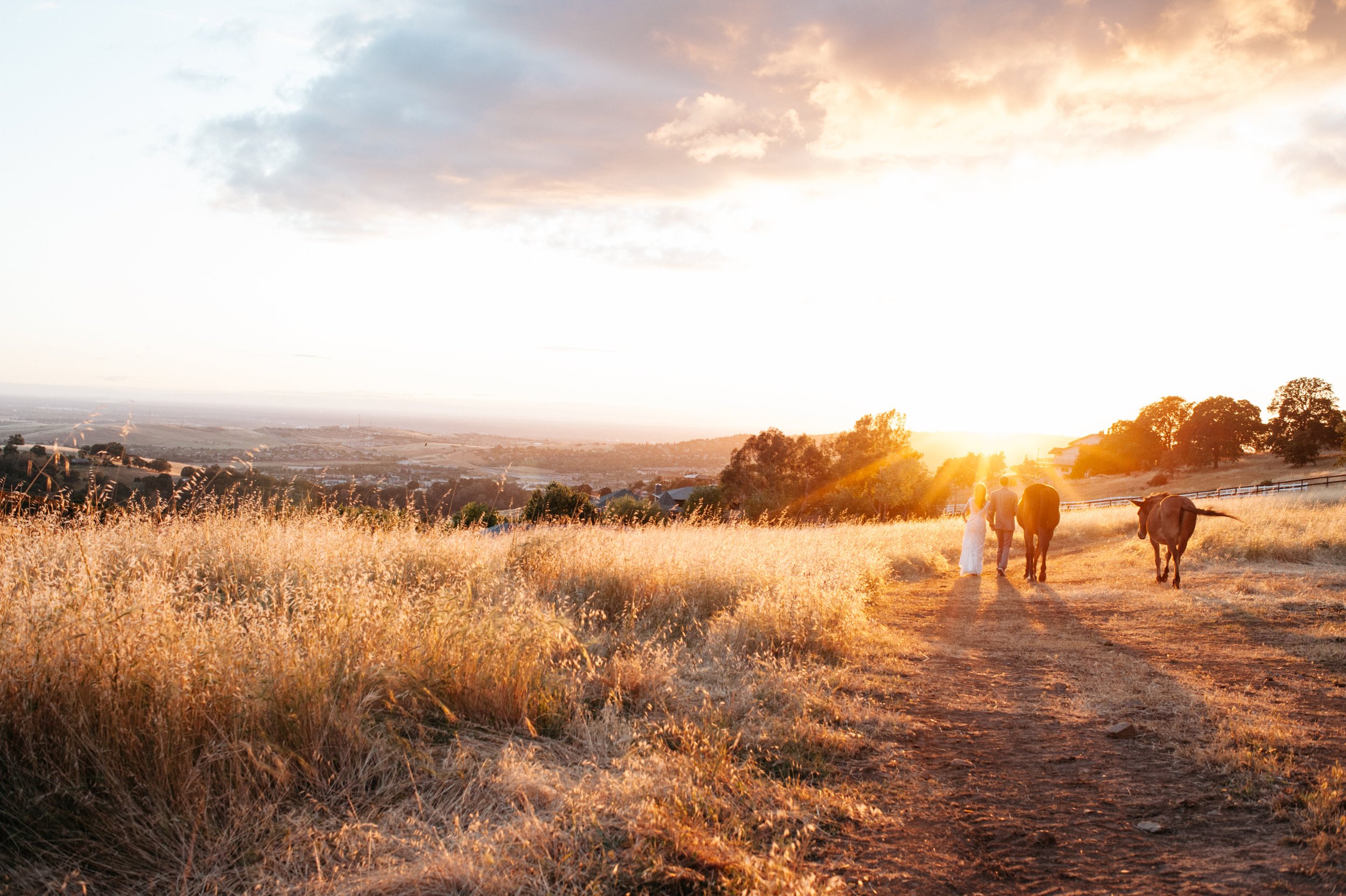 Two people walk beside cows along a dirt path through a grassy field at sunset with a scenic landscape in the background.