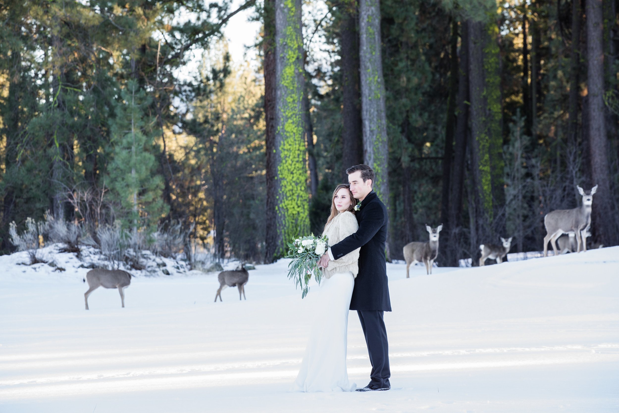 A bride and groom embrace in a snowy forest clearing with deer standing in the background. The bride holds a bouquet of flowers.