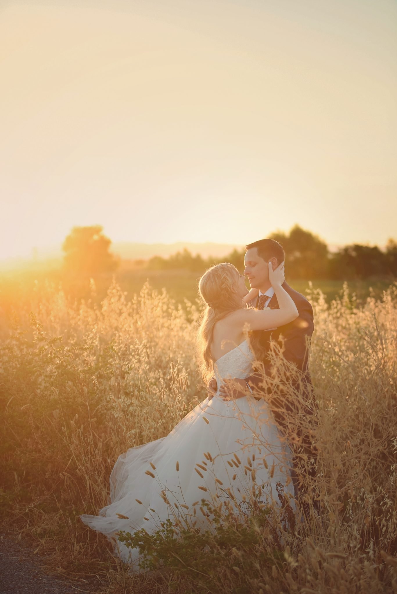 A couple in wedding attire embraces in a field at sunset, with tall grass and warm sunlight in the background.