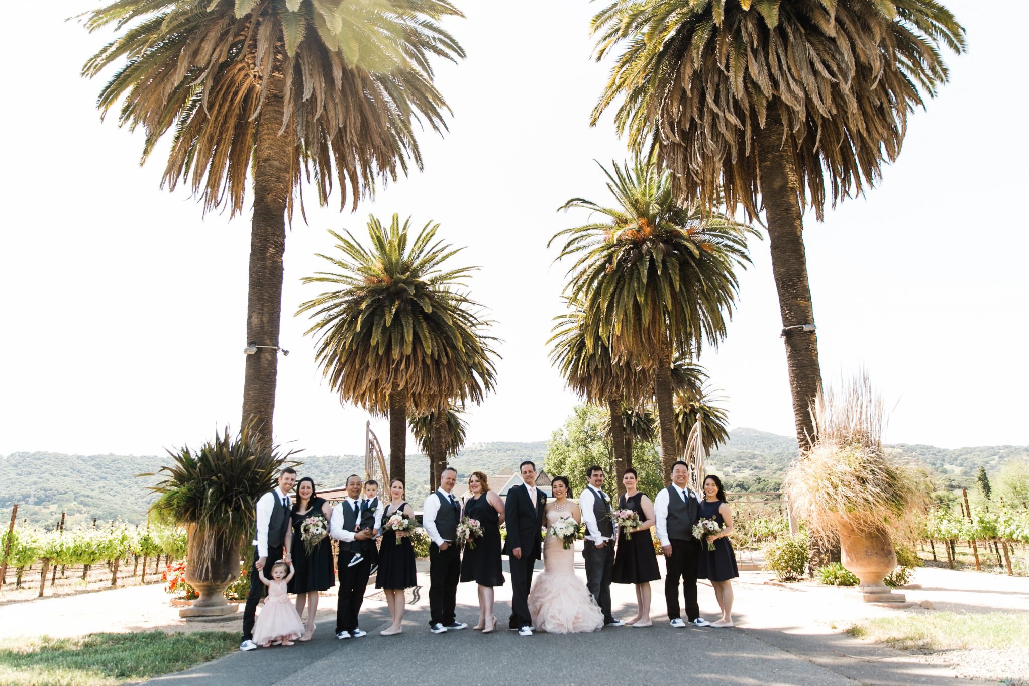 A wedding party stands in a line under tall palm trees. They are dressed in formal attire, with the bride and groom in the center. The background features a vineyard and distant hills.