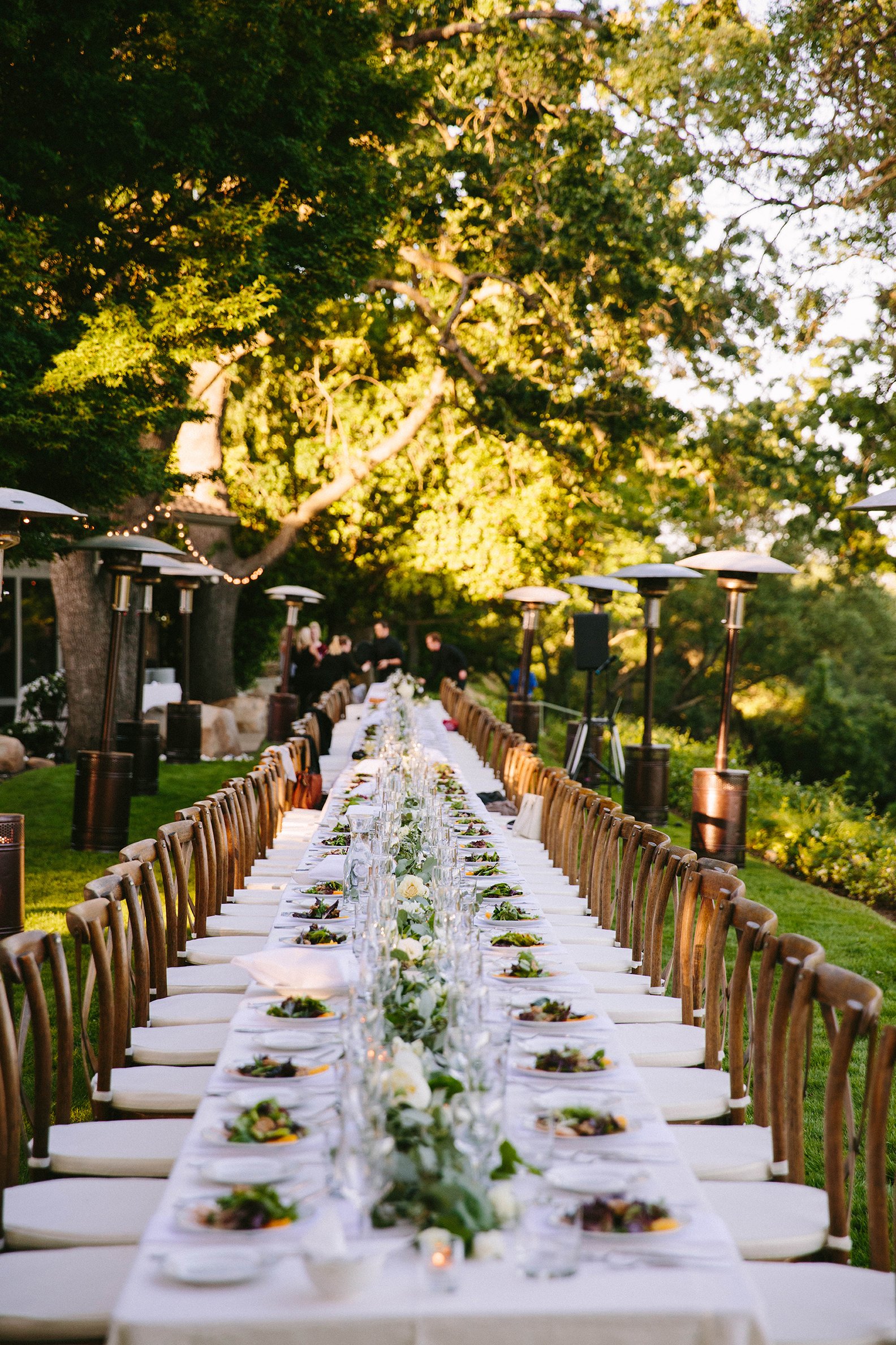 A long, outdoor dining table set for a formal event with white tablecloths, chairs, plates with salad, and glasses. The table is surrounded by greenery and trees under warm sunlight.