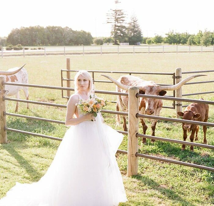 THE COLORFUL MODERN RANCH WEDDING DAY OF YOUR DREAMS