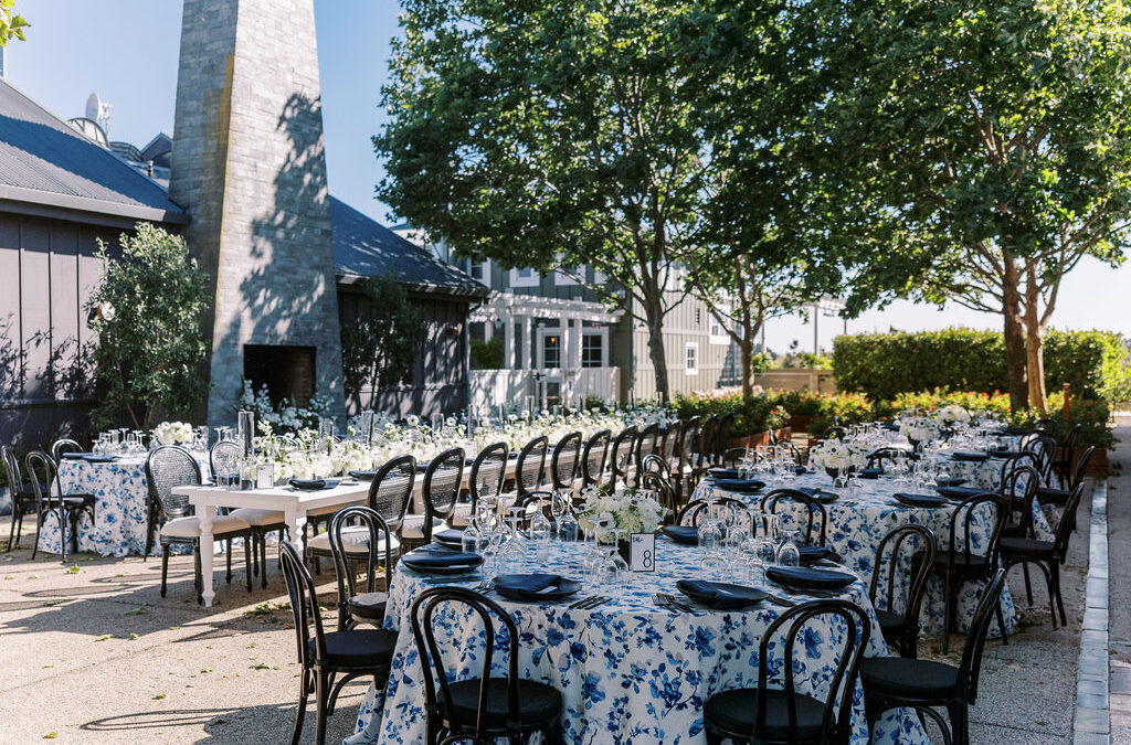 Carneros: Melany + Ted