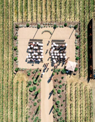 Aerial view of an outdoor wedding ceremony with guests seated, white umbrellas, and an aisle in the center, surrounded by rows of green vineyards.