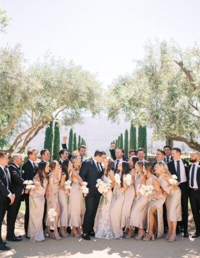 A wedding party poses outdoors, with bridesmaids in light dresses and groomsmen in dark suits, surrounding the couple under trees.