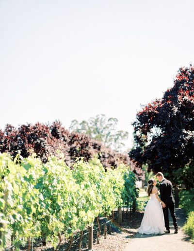 A couple stands together on a path between grapevines and trees under a clear sky.