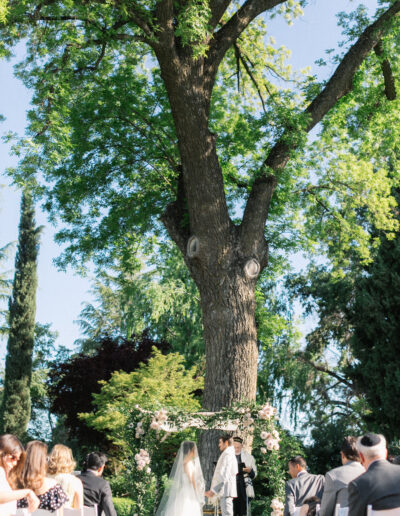 A couple stands under a large tree, exchanging vows in an outdoor wedding ceremony, surrounded by seated guests.