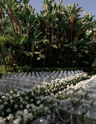 Rows of transparent chairs face lush greenery and white flowers under a clear blue sky.