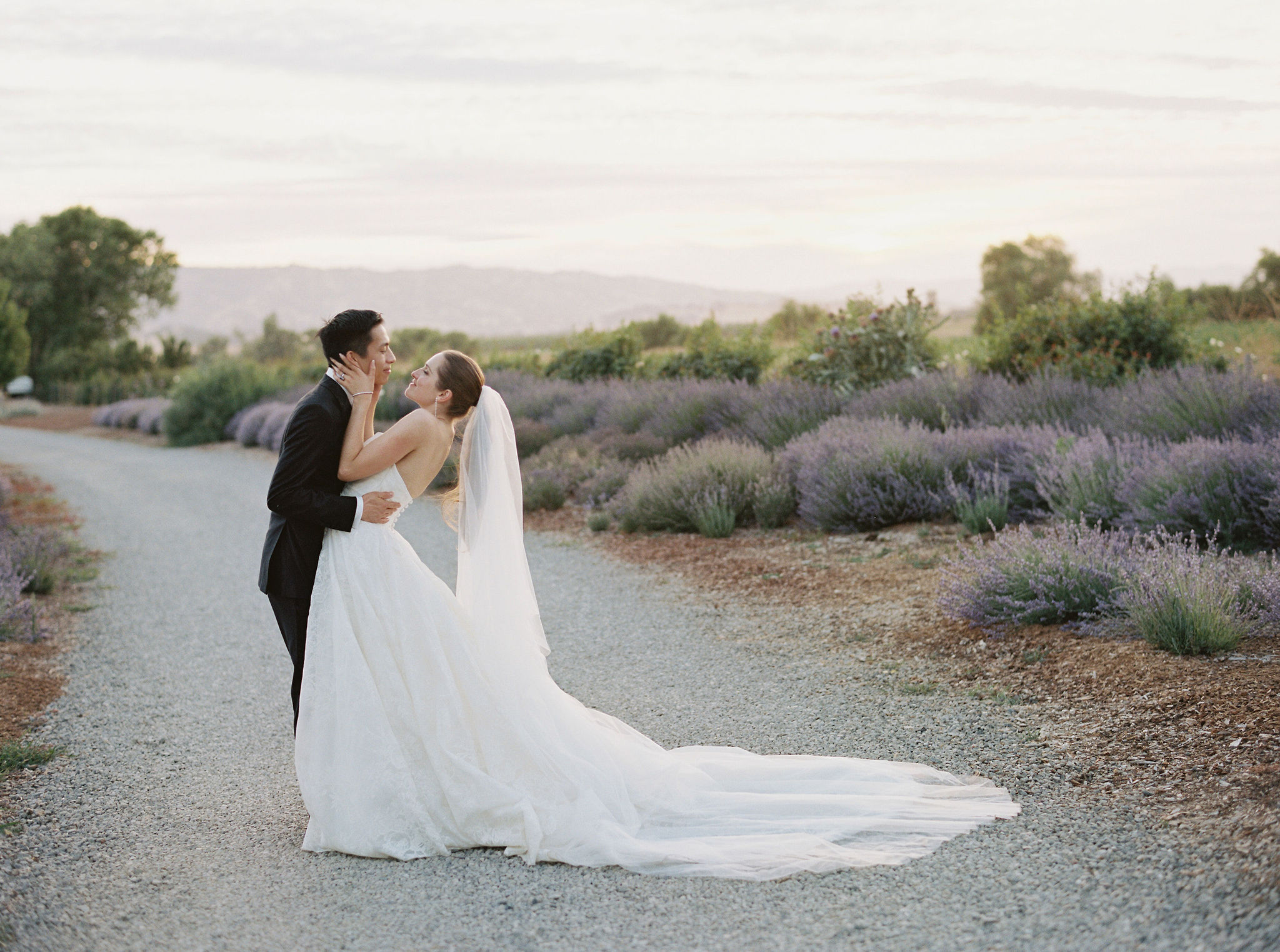 The bride and groom embrace on a gravel path at Park Winters, surrounded by lavender fields under a cloudy sky.