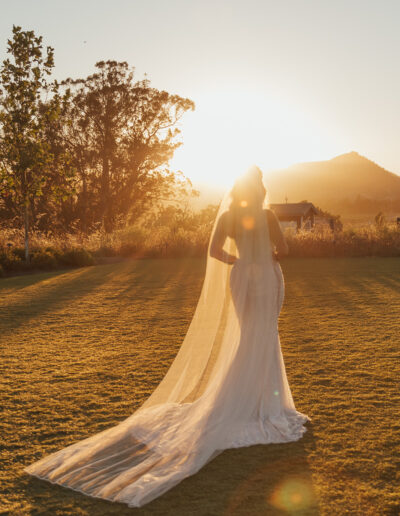 A bride stands in a sunlit field at sunset, wearing a long veil and gown. Trees and a mountain are visible in the background.