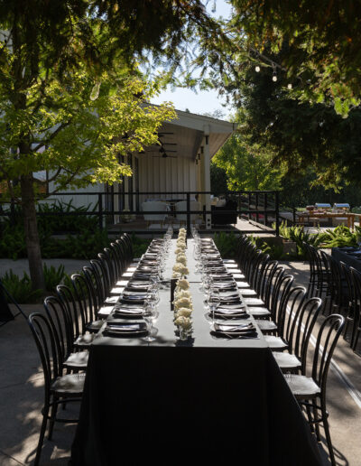 Outdoor dining setup with a long table, black chairs, and table settings including white flowers, plates, and glasses under a shady tree canopy.