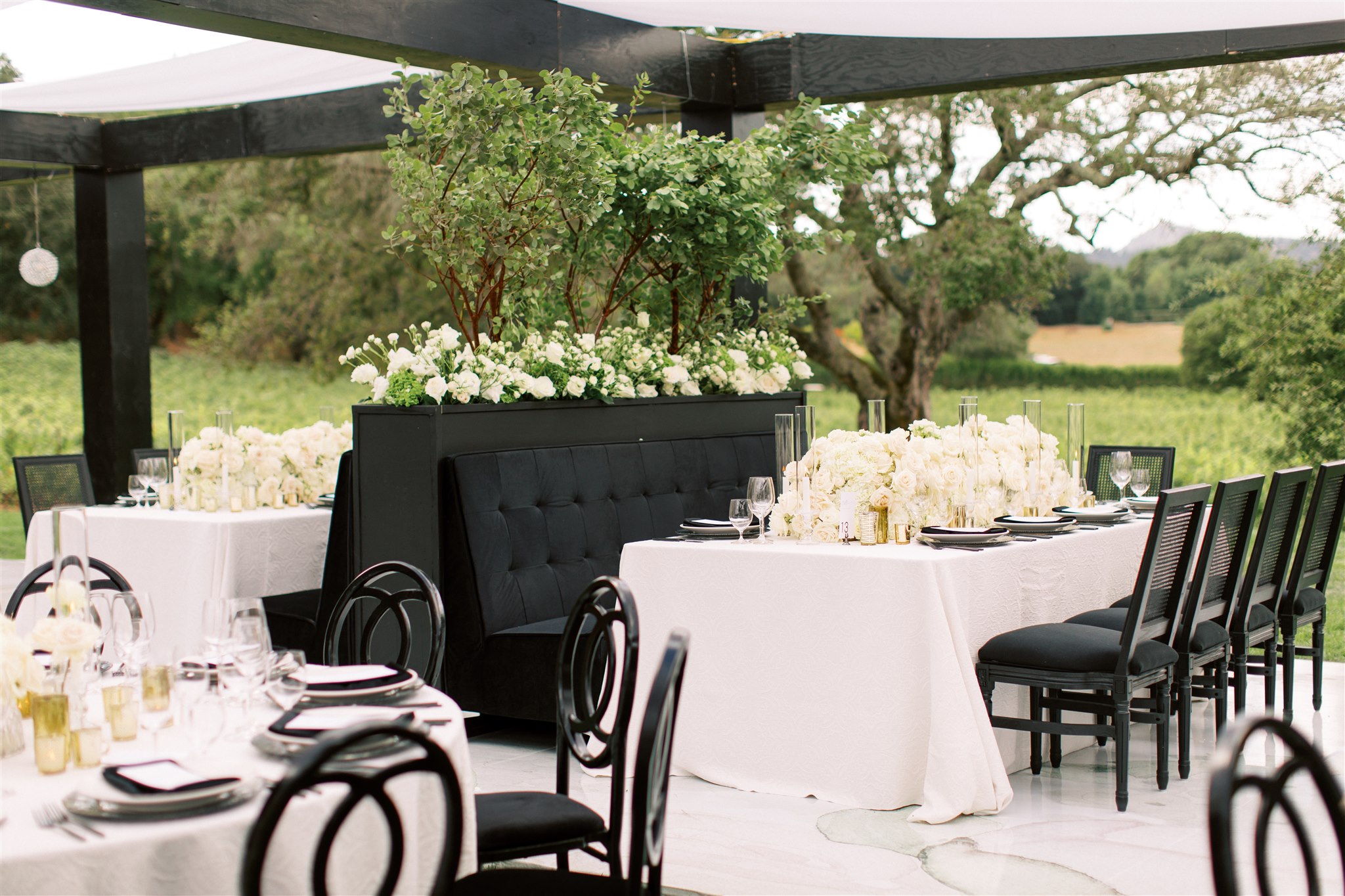 Elegant outdoor dining setup with black chairs, white tablecloths, and white floral centerpieces under a canopy.