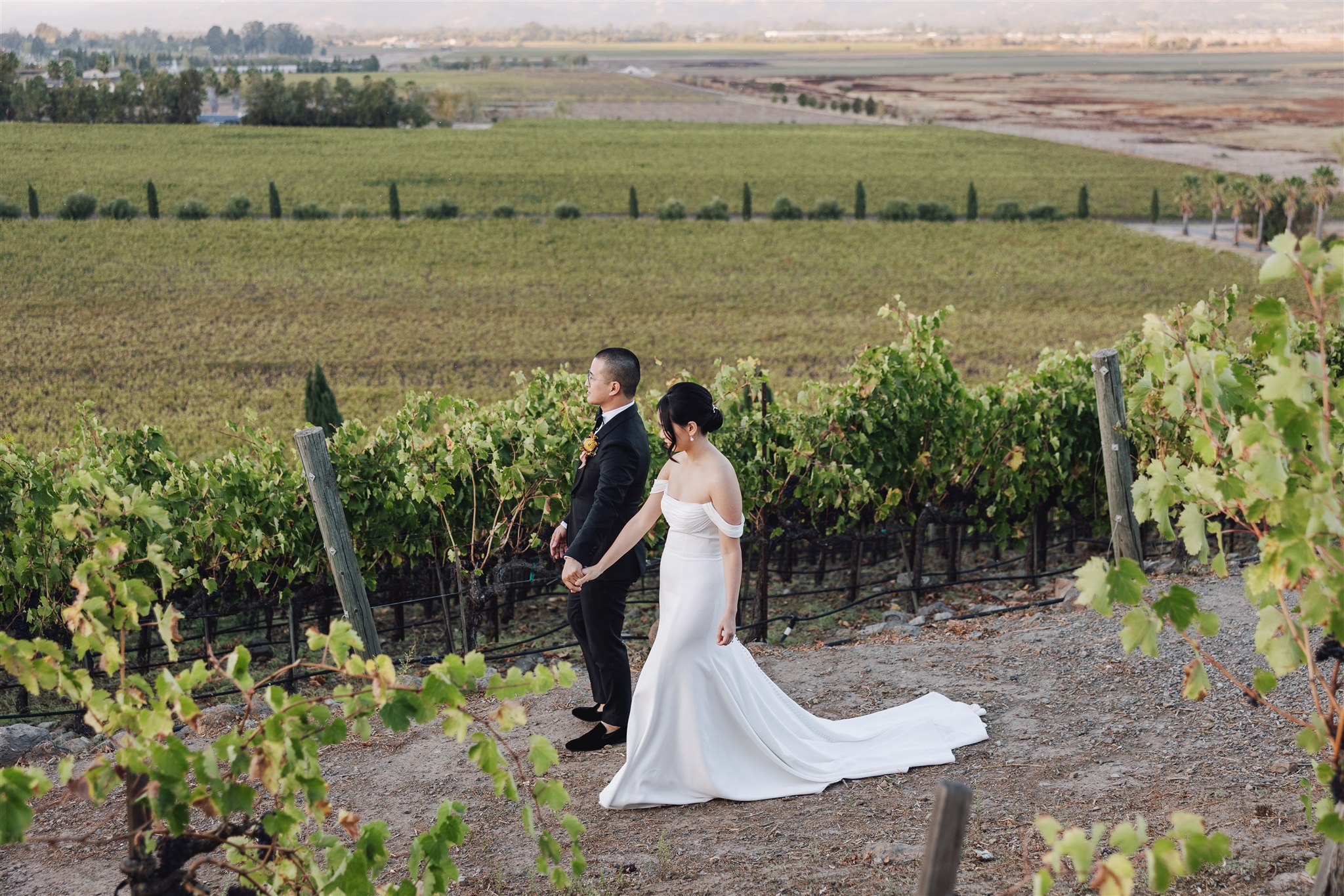 A bride and groom walk hand in hand through a vineyard, with rows of grapevines and expansive fields in the background—an idyllic scene crafted by a Sonoma Wedding Planner.