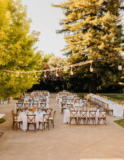 Outdoor event setup with several tables covered in white tablecloths and wooden chairs, string lights overhead, surrounded by green trees.