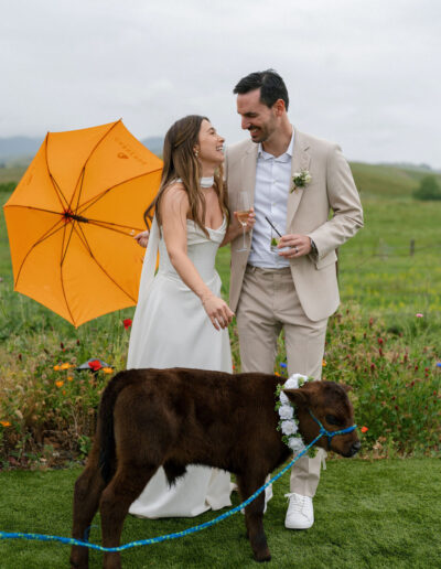 A bride and groom stand together smiling, holding drinks, with a small brown calf on a leash and an orange umbrella in a grassy outdoor setting.