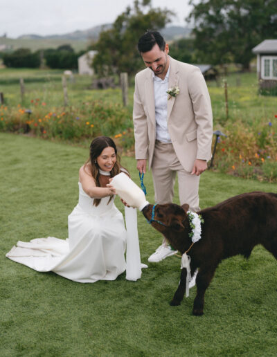 A bride in a white dress and a groom in a tan suit smile as the bride feeds a small goat from a bottle on a grassy lawn.