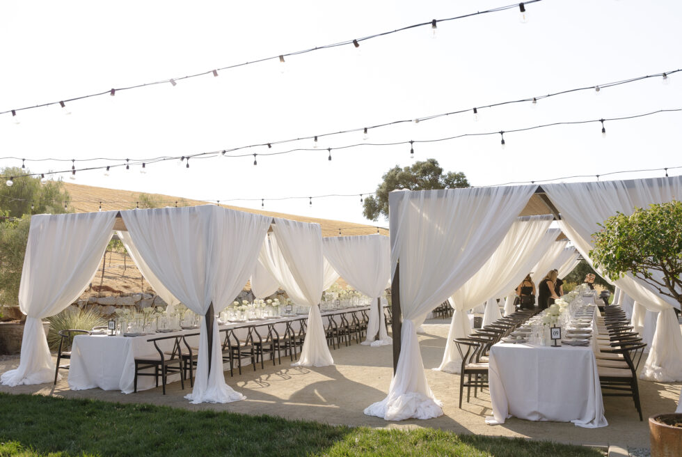 Black Oak Mountain: Holland + Ted
