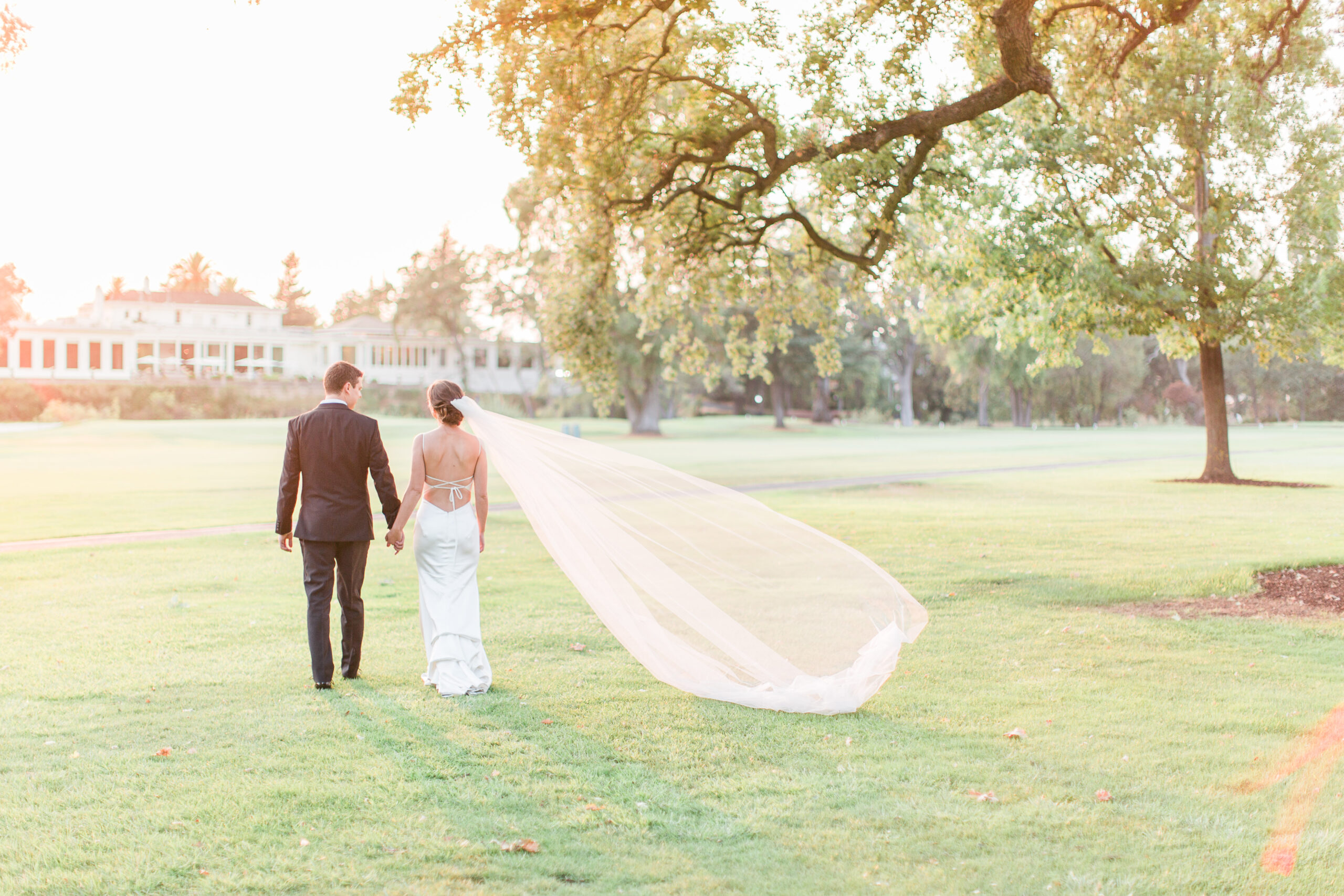 A bride and groom walk hand-in-hand on a grassy lawn, with the bride’s long veil trailing behind and a large tree overhead.