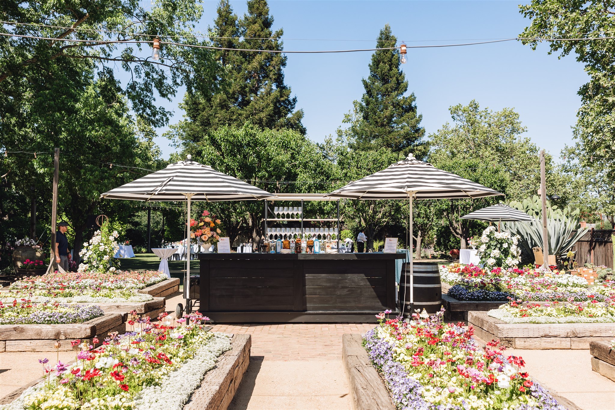 Outdoor bar setup with two black-and-white striped umbrellas, surrounded by raised flower beds and trees under a clear blue sky.